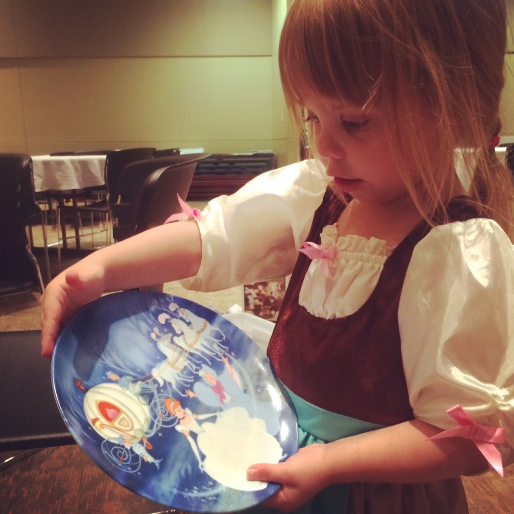 Cinderella examining plate