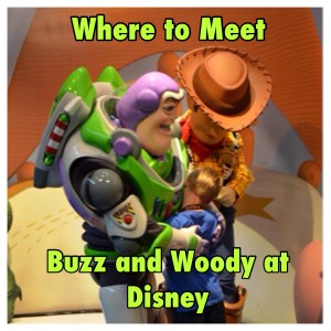 where to meet woody and buzz at Disney World