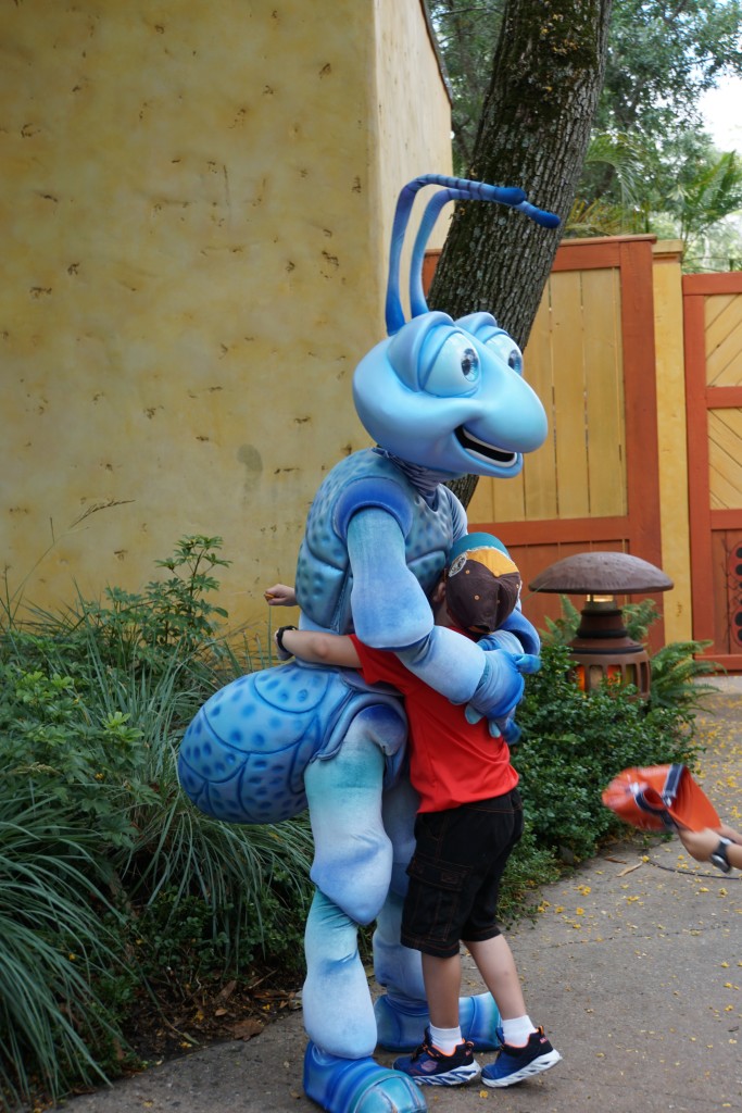 Flik - Animal Kingdom