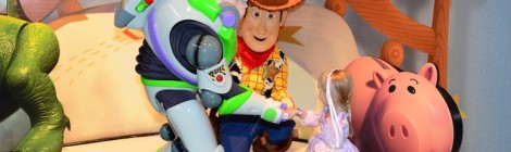Meet Buzz and Woody at Disney World