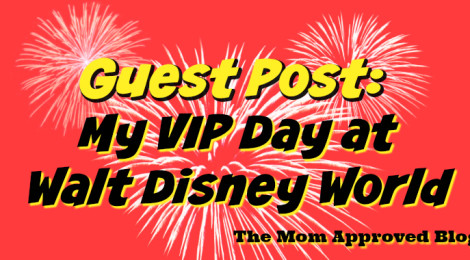 Guest Post: A review of the VIP tour at Disney World