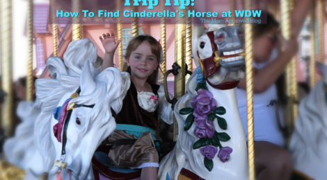 Mom Approved Trip Tip: How To Find Cinderella's Horse In Magic Kingdom